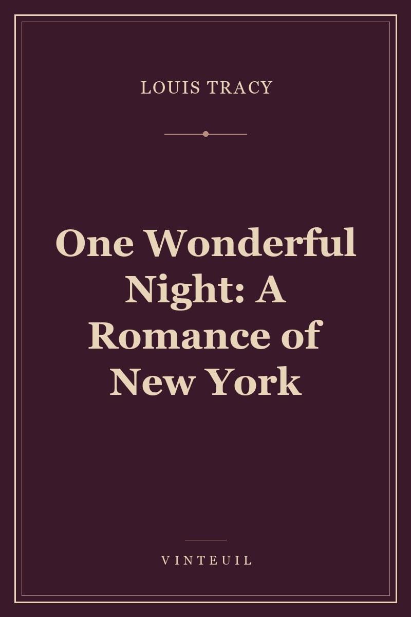 One Wonderful Night: A Romance of New York cover